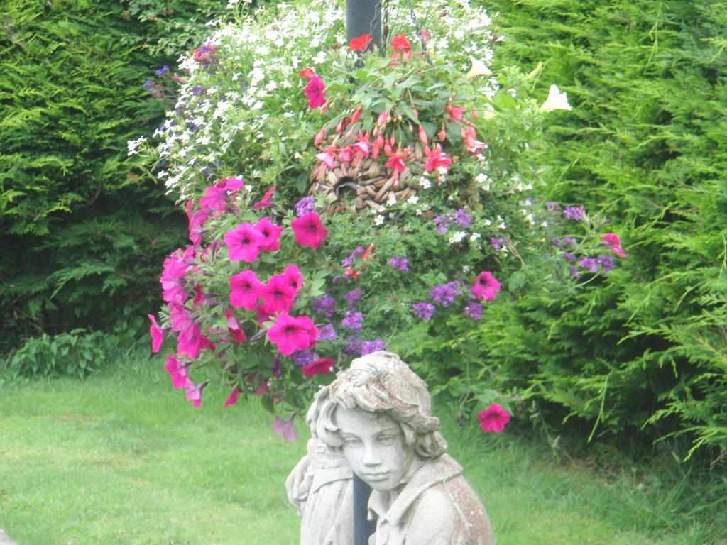 Woodlands House Bed & Breakfast Farranfore Dış mekan fotoğraf