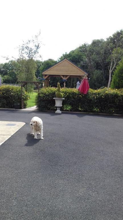 Woodlands House Bed & Breakfast Farranfore Dış mekan fotoğraf